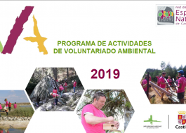 Voluntariado Ambiental 2019